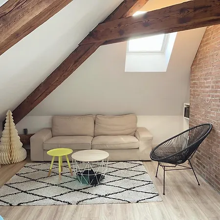 Apartamento Le Nid Des Bergers - Championnet 3 Rooms, Garage, Clim A-c