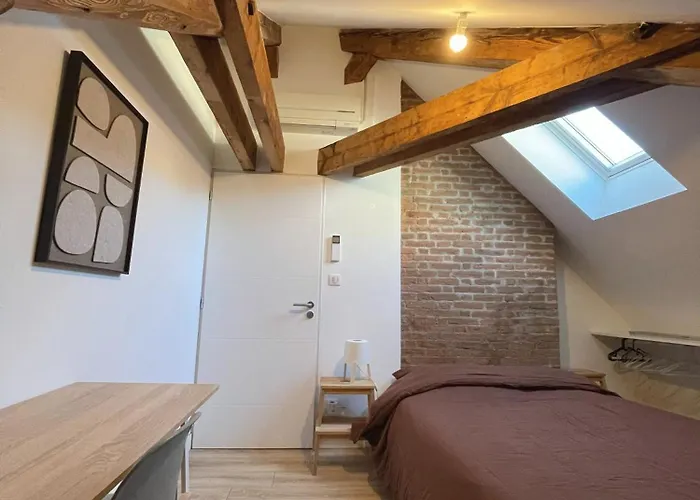 Le Nid Des Bergers - Championnet 3 Rooms, Garage, Clim A-c * Grenoble